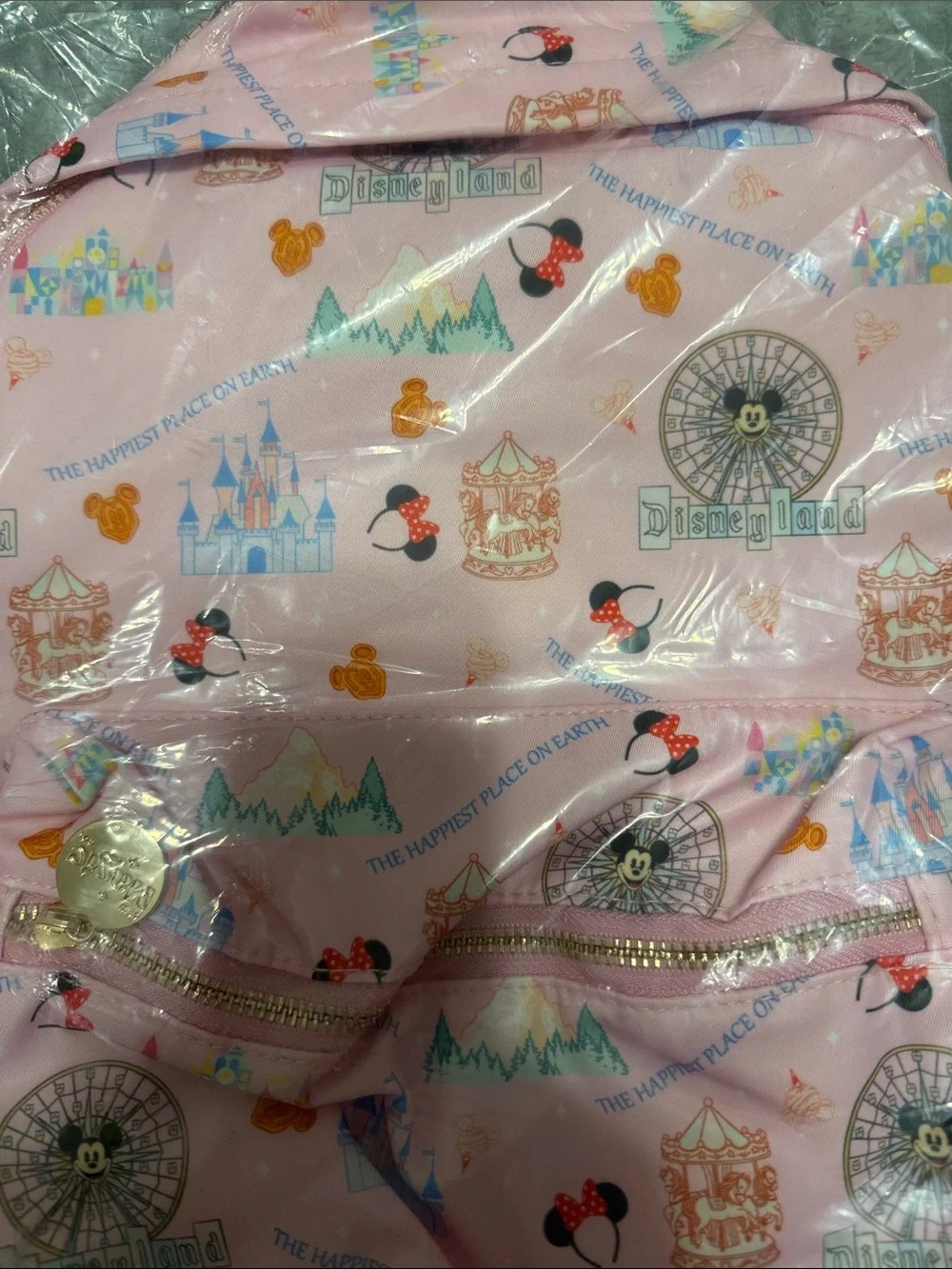 Disneyland Pink Icon Print Backpack